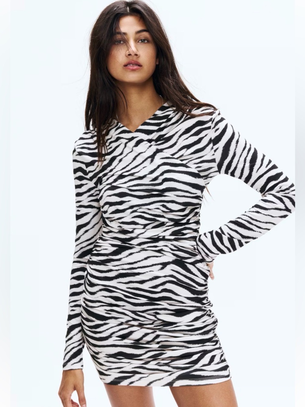 H&M Zebra Print Long Sleeve Mini Dress - Black & White - NWT - Picture 2 of 5